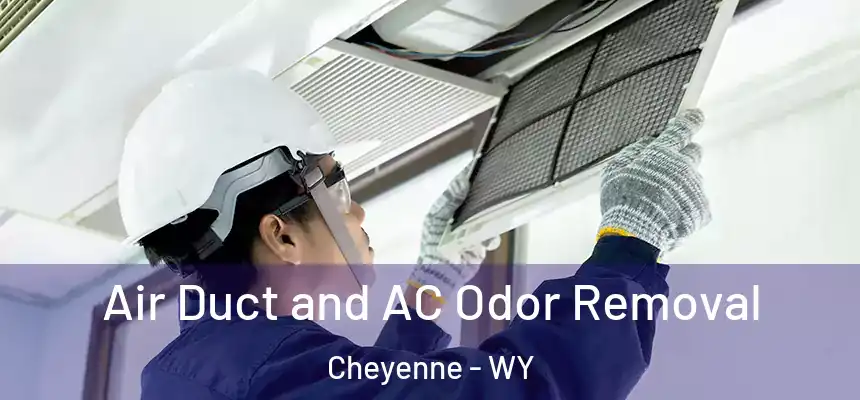 Air Duct and AC Odor Removal Cheyenne - WY