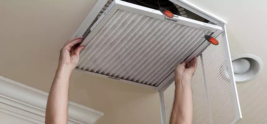 Preventive Cockroach-Proofing for Ducts in Cheyenne