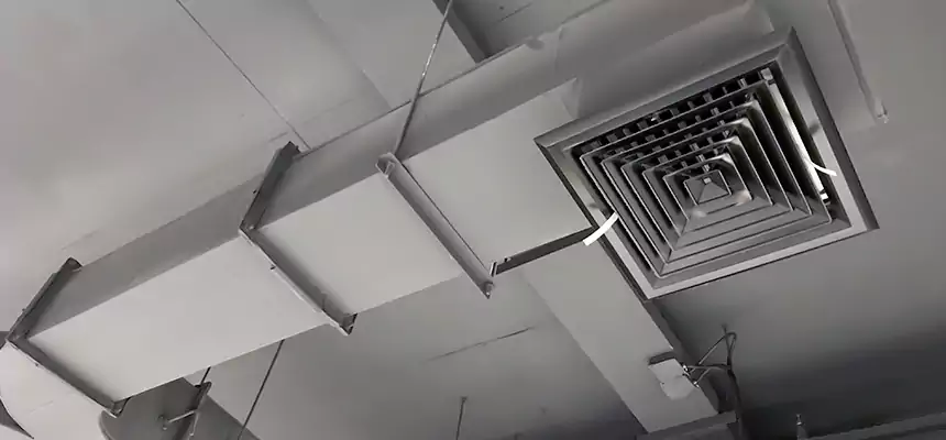 Restorative Allergy Relief Vent Cleaning – Coil, Blower & Housing Detail in Cheyenne