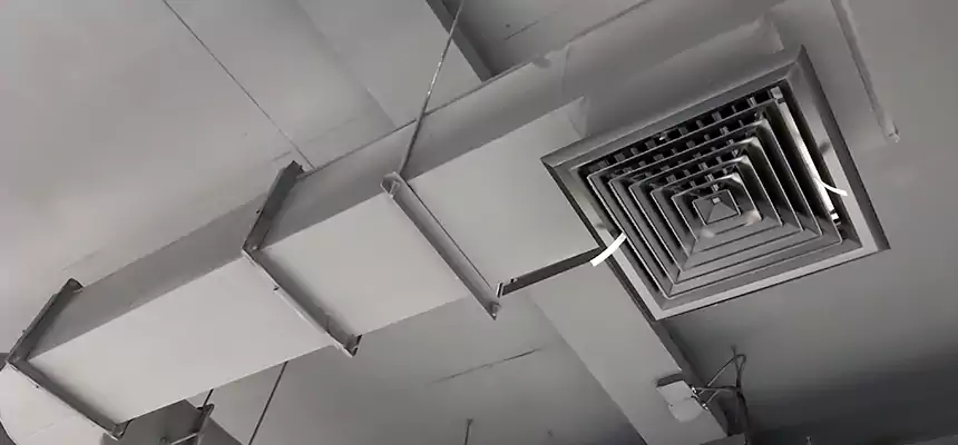 Our Pest Removal From Ducts Services in Cheyenne, WY