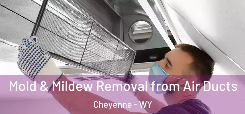  Mold & Mildew Removal from Air Ducts Cheyenne - WY