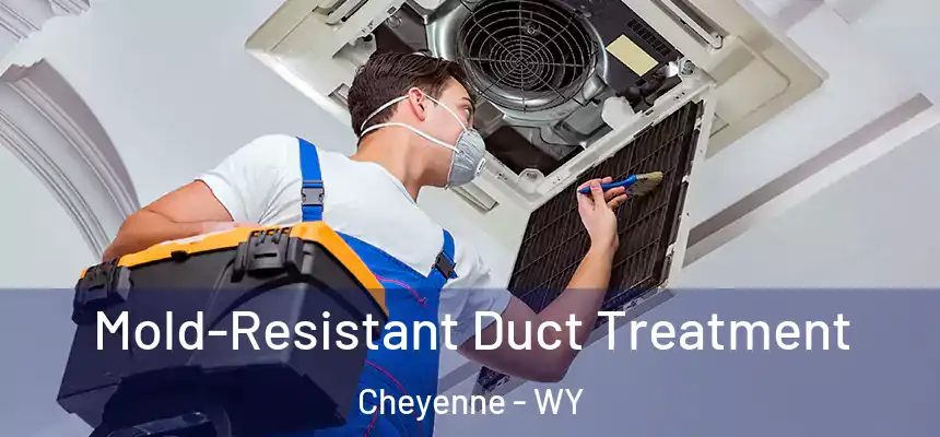  Mold-Resistant Duct Treatment Cheyenne - WY