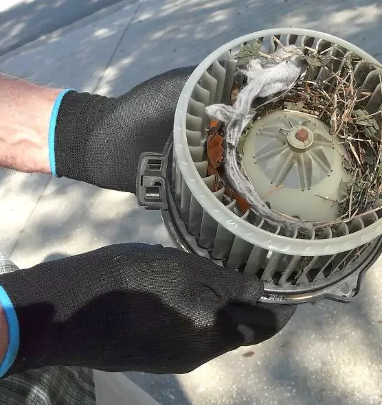 About Air Duct Rat Removal in Cheyenne, WY