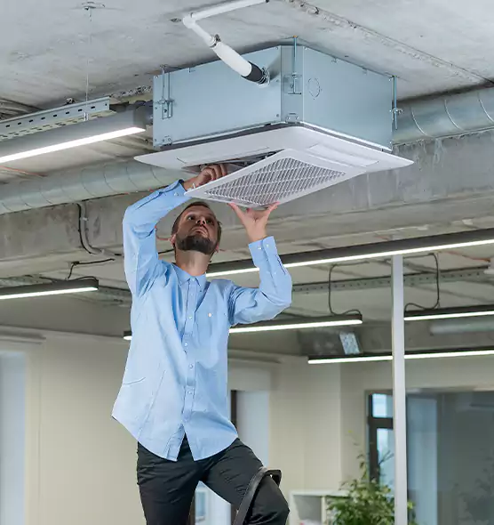 Advanced Rodent Droppings In Vents in Cheyenne, WY