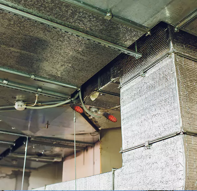 Why Homeowners & Businesses Trust Us in Cheyenne, WY?