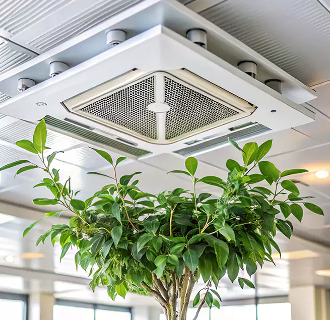 Why Homeowners & Businesses Trust Us in Cheyenne, WY?