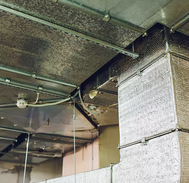 Why Homeowners & Businesses Trust Us in Cheyenne, WY?